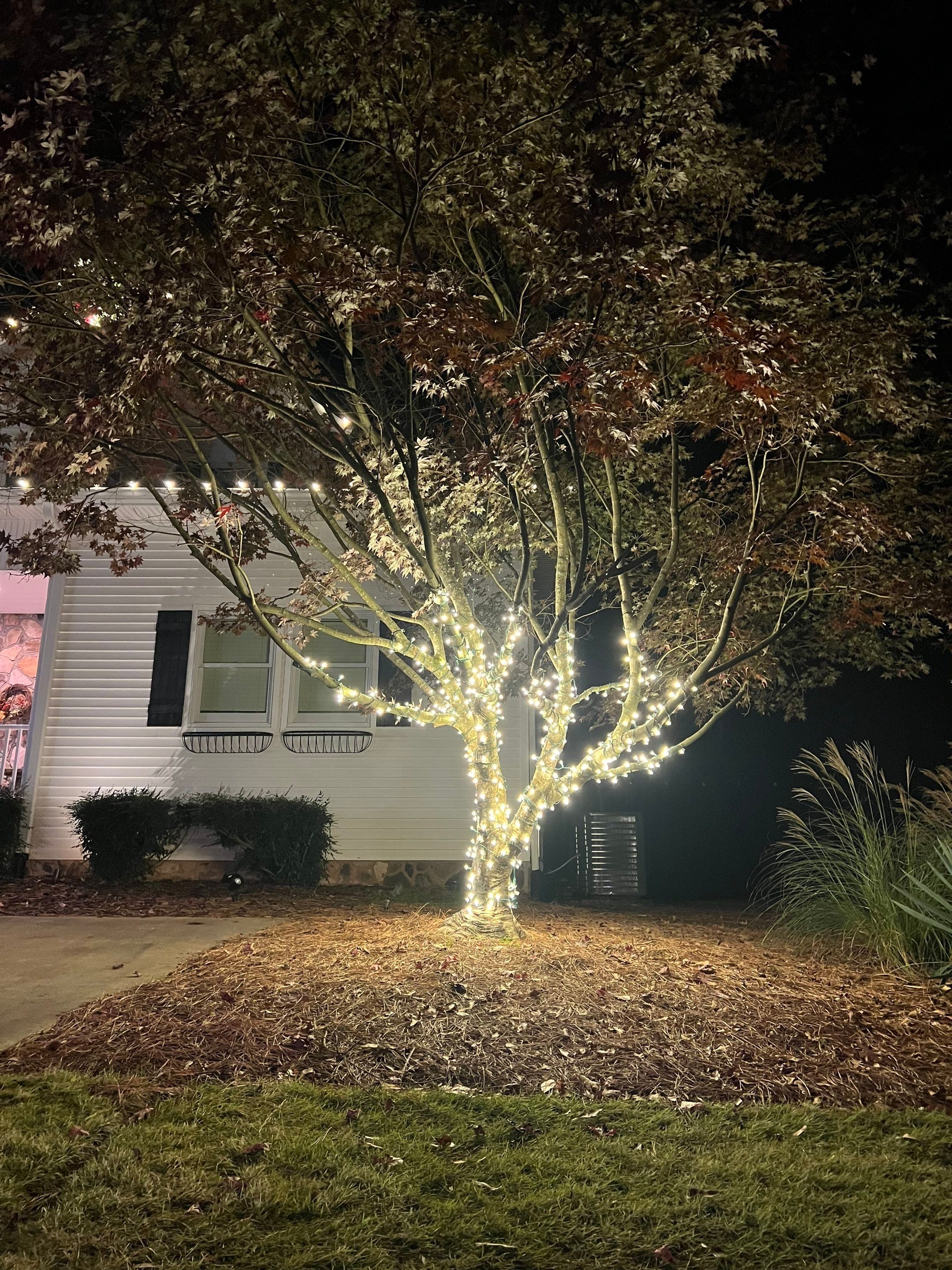 Completed Christmas light installation on a North Georgia home (display 8)
